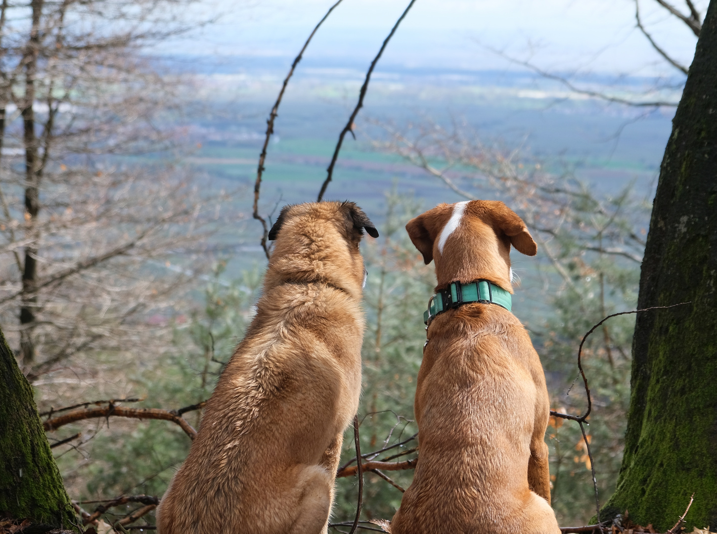 Toller Ausblick