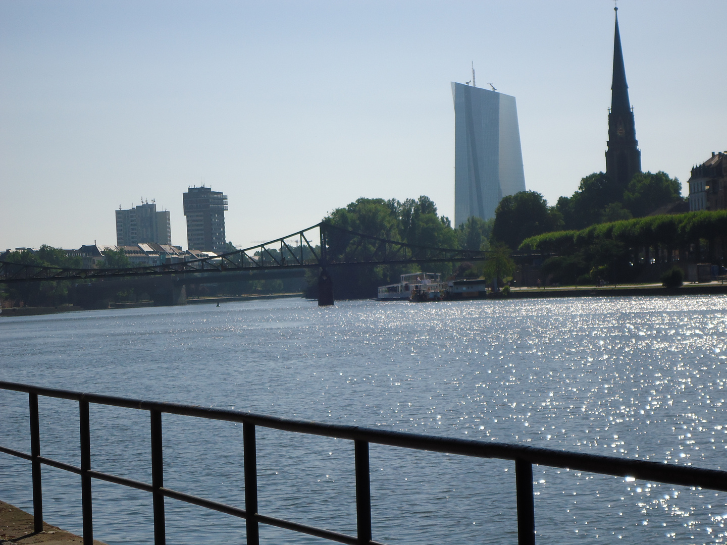 Toller Ausblick auf den Main