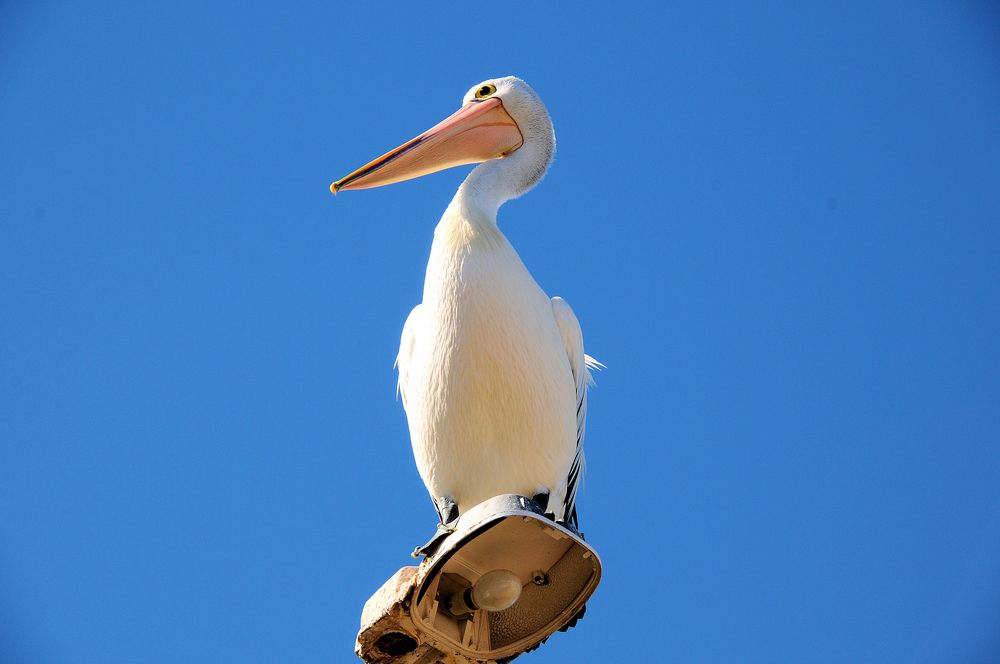 toller Blick von hier oben