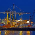 Toller- Container Terminal