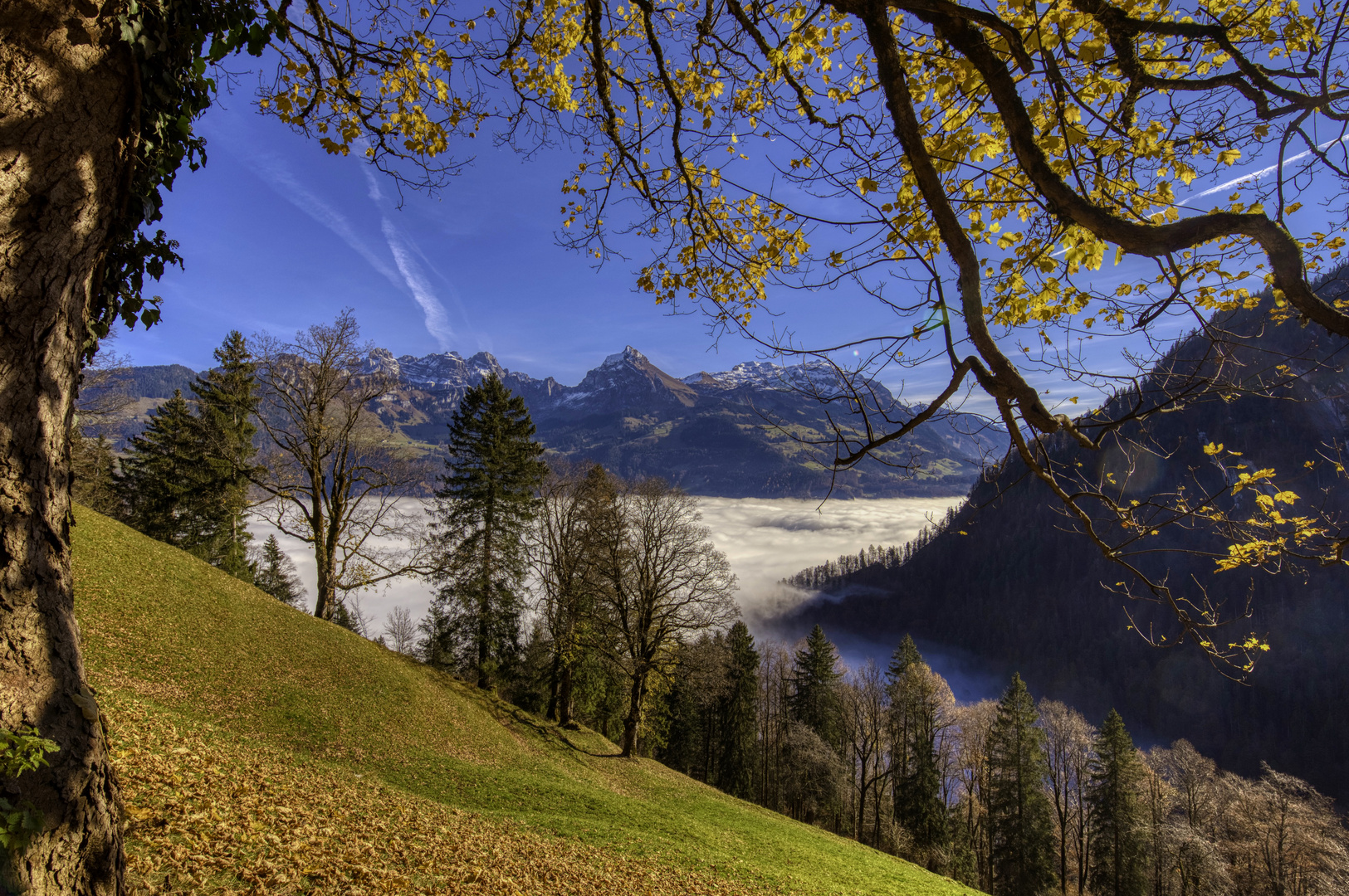 Toller Herbsttag