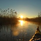 toller Morgen am Waginger See