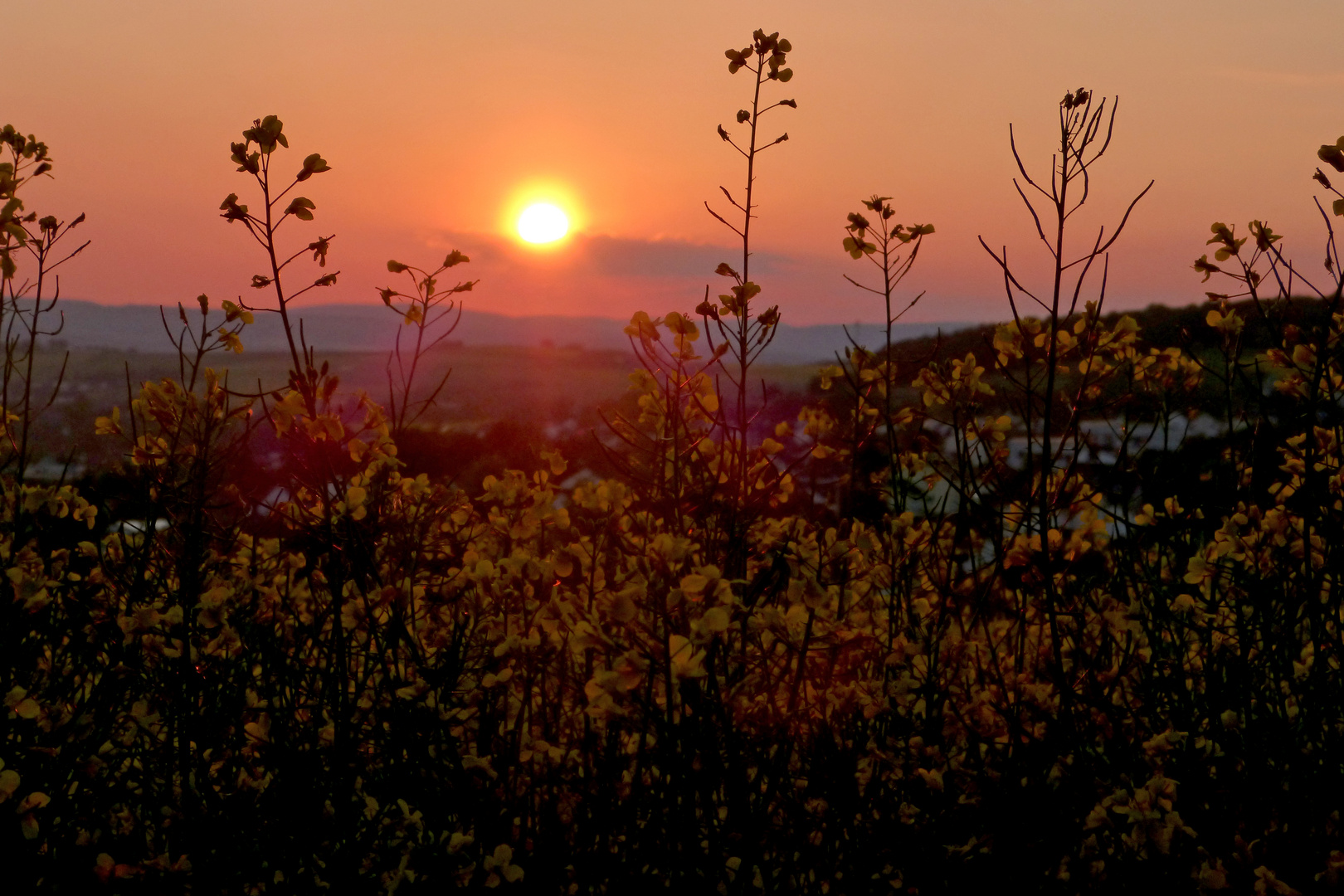 Toller Sonnenuntergang :)