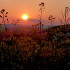 Toller Sonnenuntergang :)