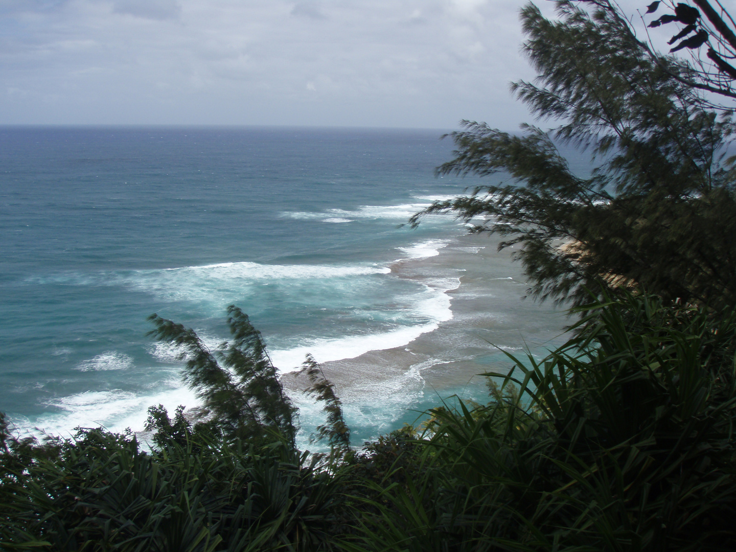 toller spot, kauai hawaii 2009