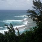 toller spot, kauai hawaii 2009