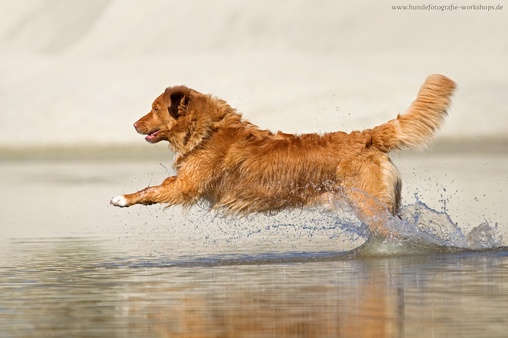 Toller Wasserspaß