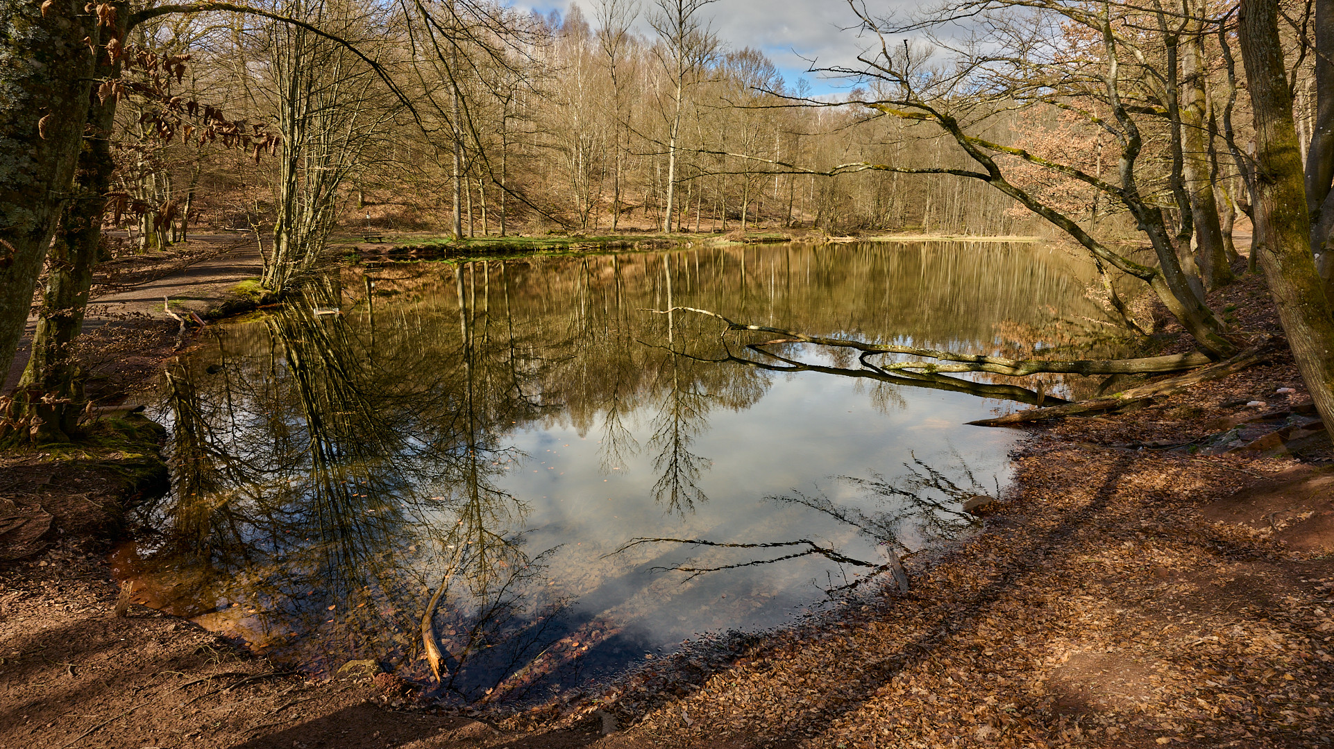 Tolles Licht hatten wir am Samstag bei unserer Wanderung, auch der Wind hatte ein einsehen, die...