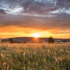 Tolles Licht und Wolken zum Abend