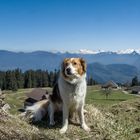 Tolles Panorama