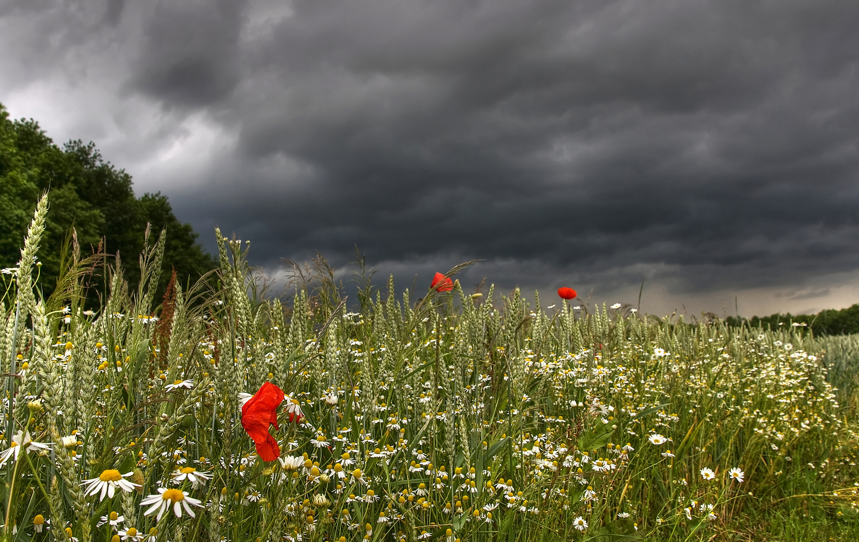 "tolles" Wetter