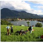 Tollkühn fliegen sie an ihren bunten Seilen und Schirmen  über uns hinweg !