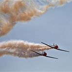 Tollkühne Männer in ihren fliegenden Kisten (1)