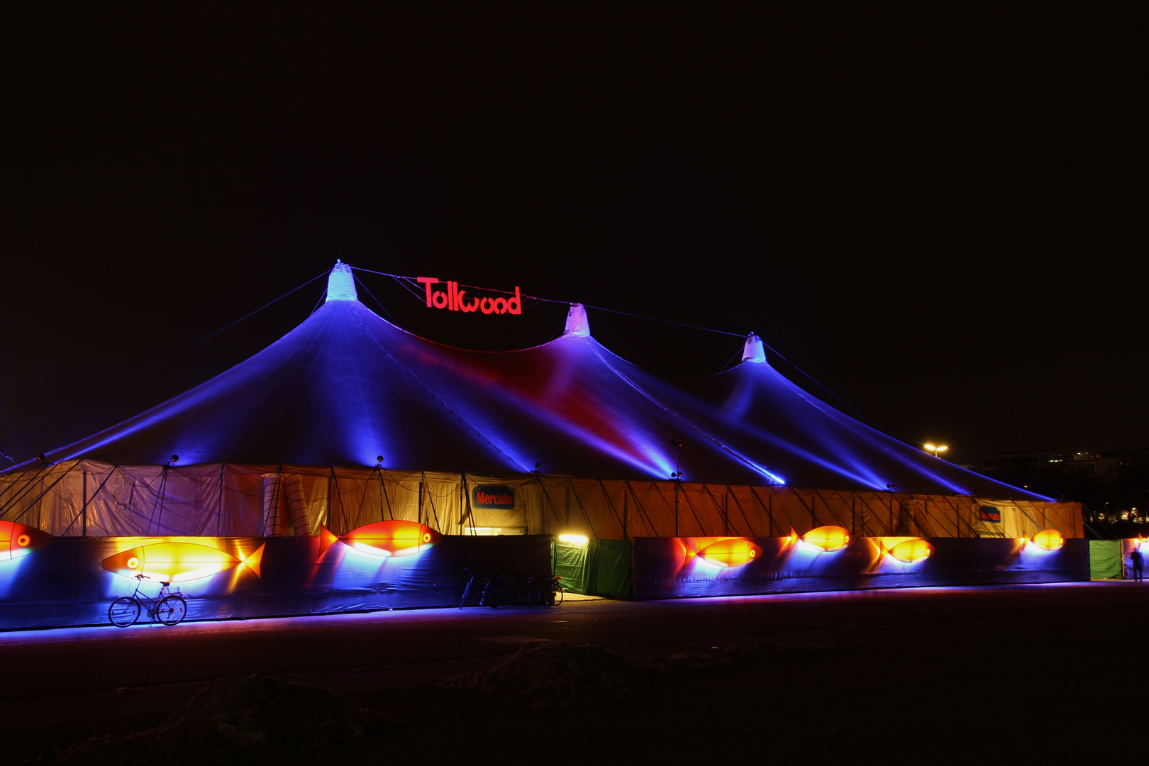 Tollwood @ Night