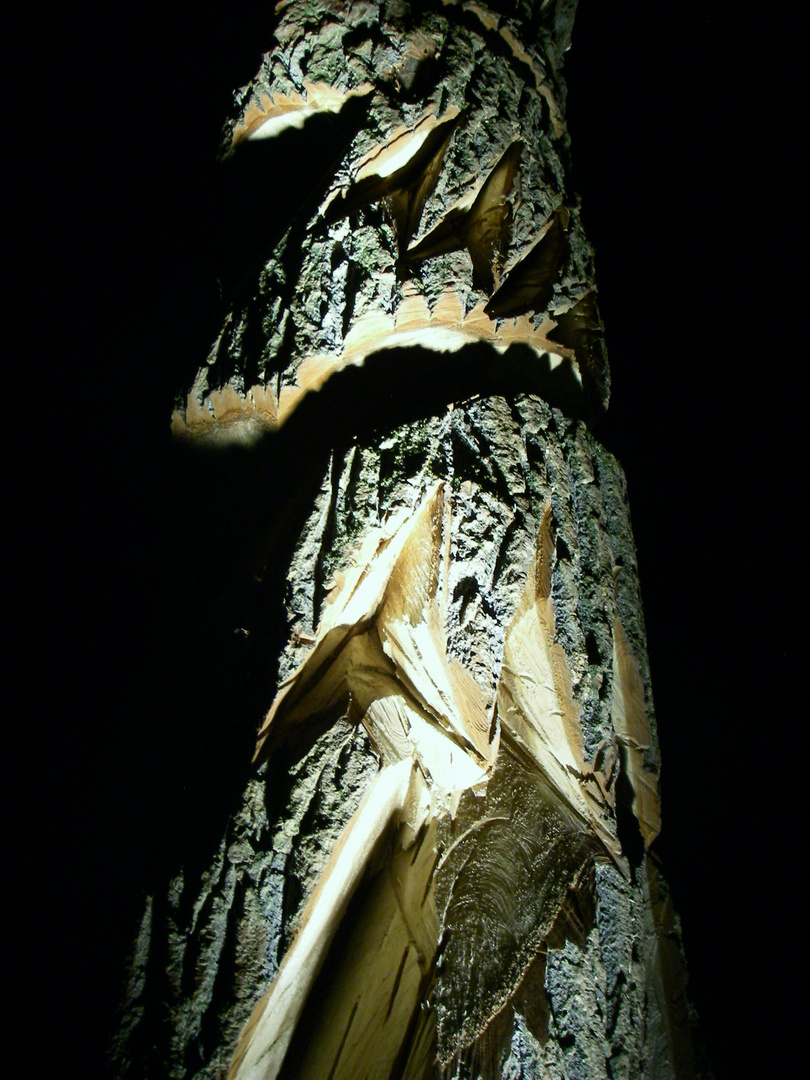 Tollwood-Stamm bei Mitternacht an Sylvester