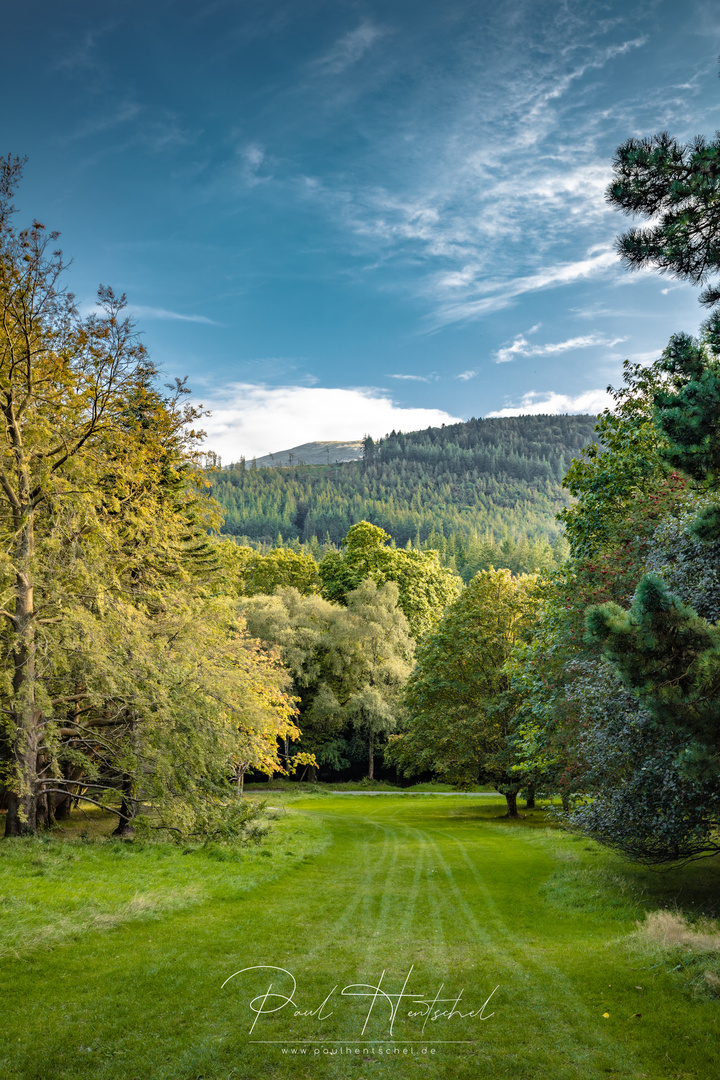 Tollymore Forest - Nordirland