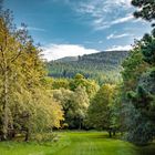 Tollymore Forest - Nordirland