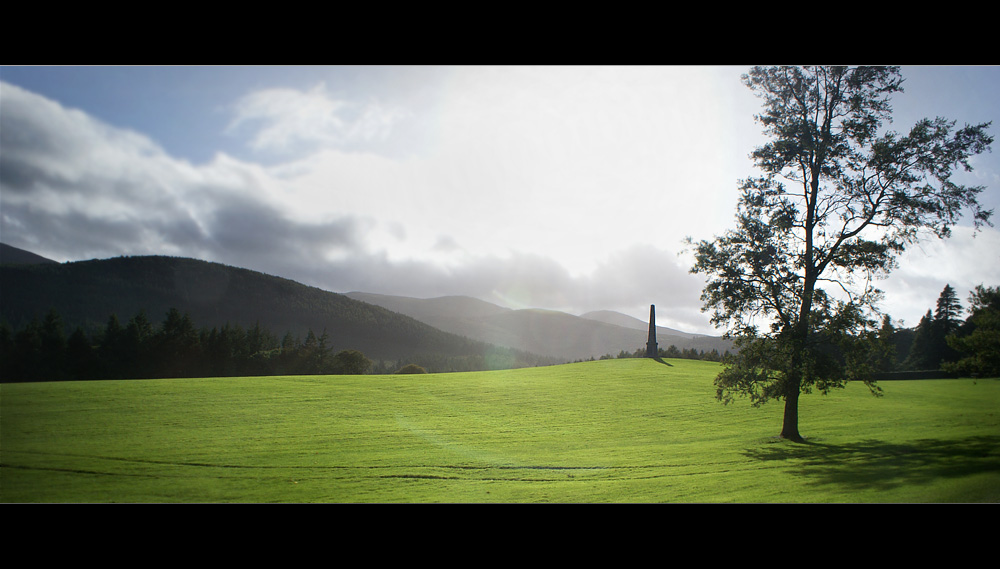 Tollymore Forest Park