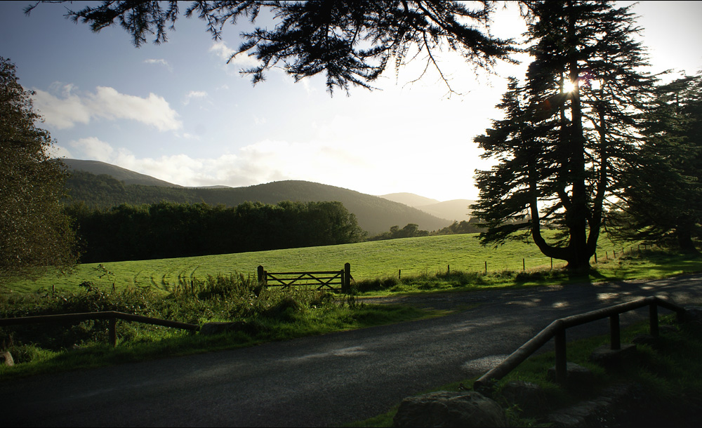 Tollymore Forest Park II