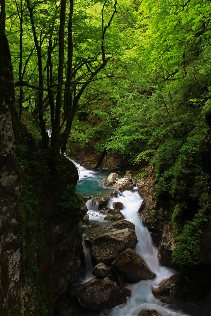 Tolminka Schlucht Slowenien