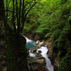 Tolminka Schlucht Slowenien