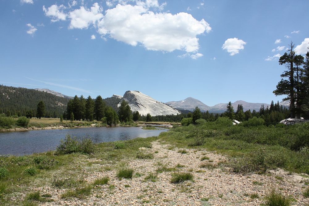 Tolumnae Meadows...