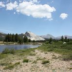 Tolumnae Meadows...