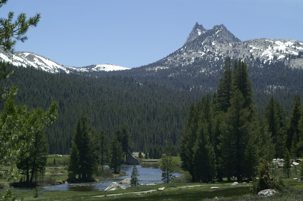 Tolumne Meadows (1)