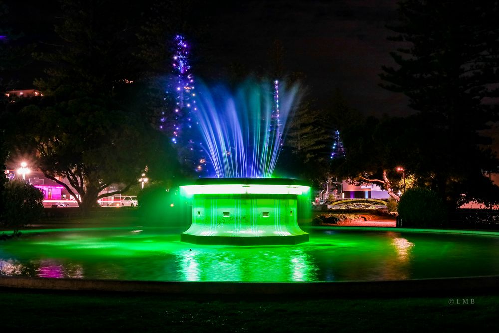 Tom Parker Fountain