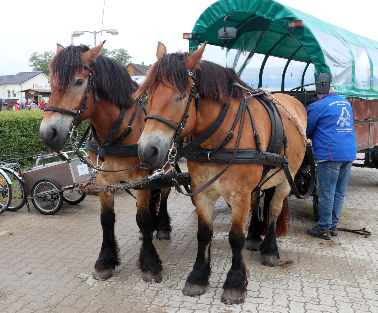 Tom und Jerry Foto & Bild deutschland, europe, mecklenburg