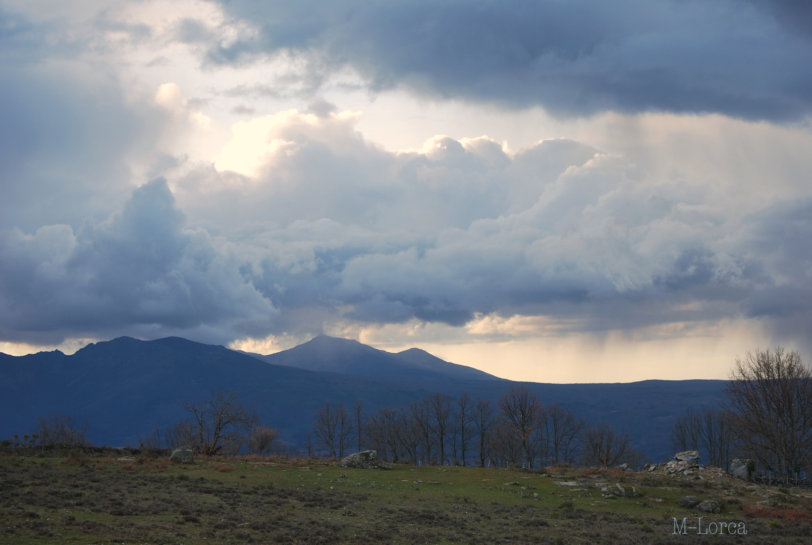 tomada ayer ha la atardecer ( tal cual )