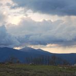 tomada ayer ha la atardecer ( tal cual )