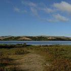 Tomales Bay