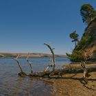 Tomales Bay, California