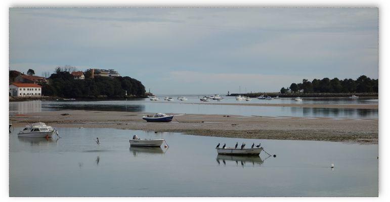 tomando el sol ................. ............. ..........