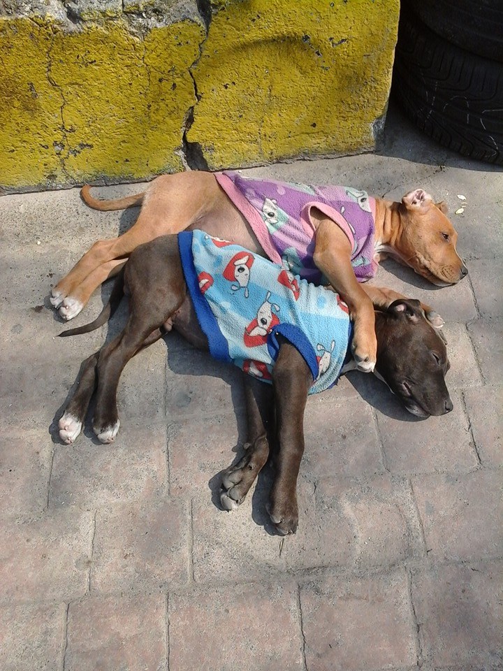 Tomando el sol.