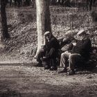 Tomando el sol de Diciembre