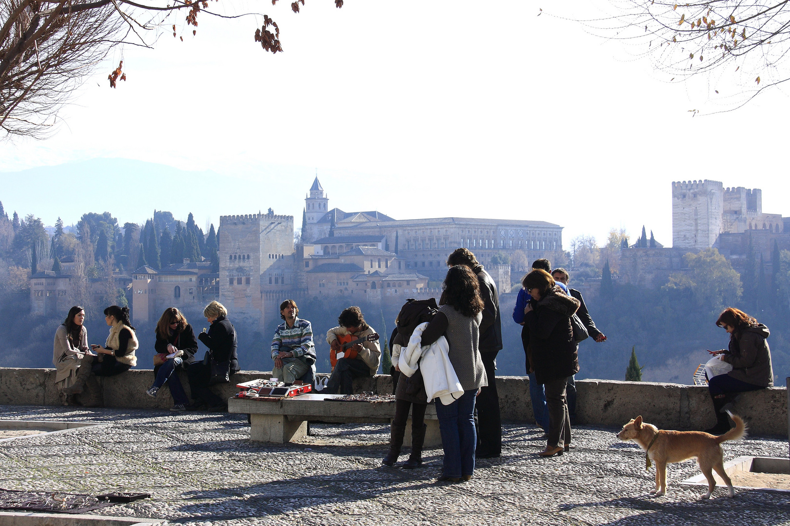 Tomando el sol frente a la Alhambra