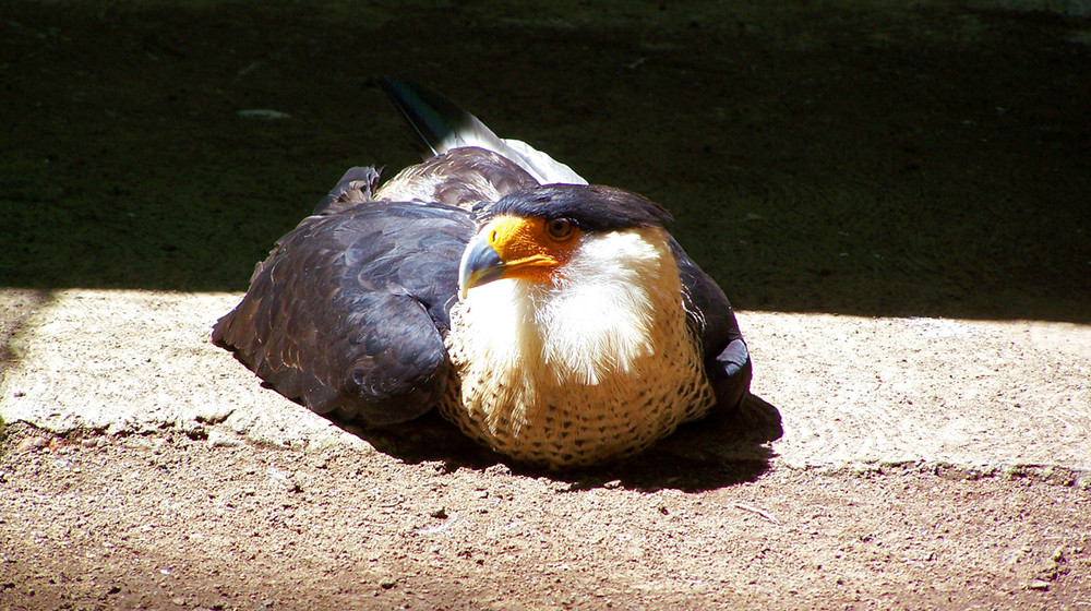 Tomando sOl