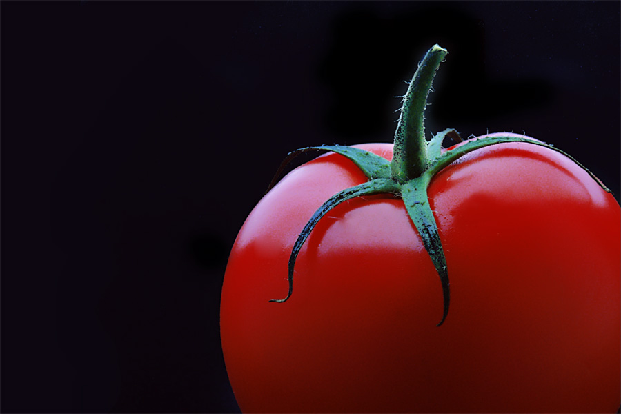 Tomate