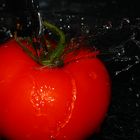 Tomate