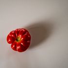 Tomate