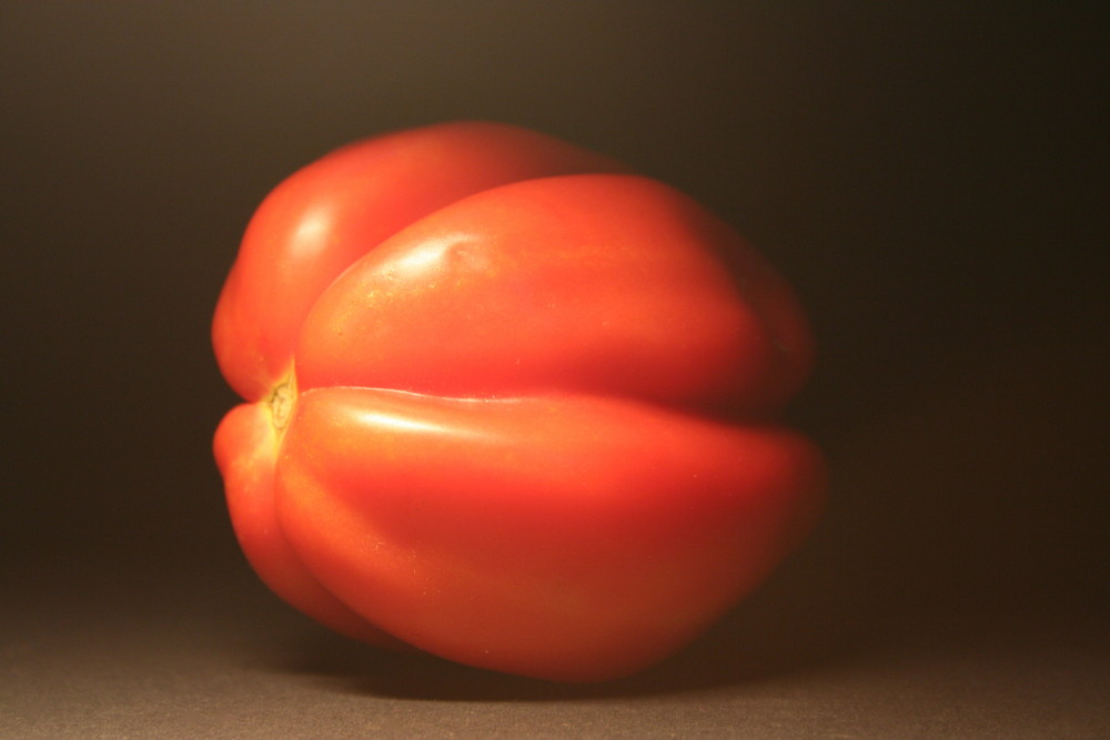 Tomate