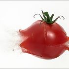 [ Tomate ]