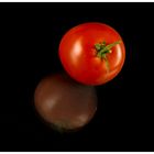 Tomate auf Glasplatte