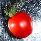 Tomate auf Silber