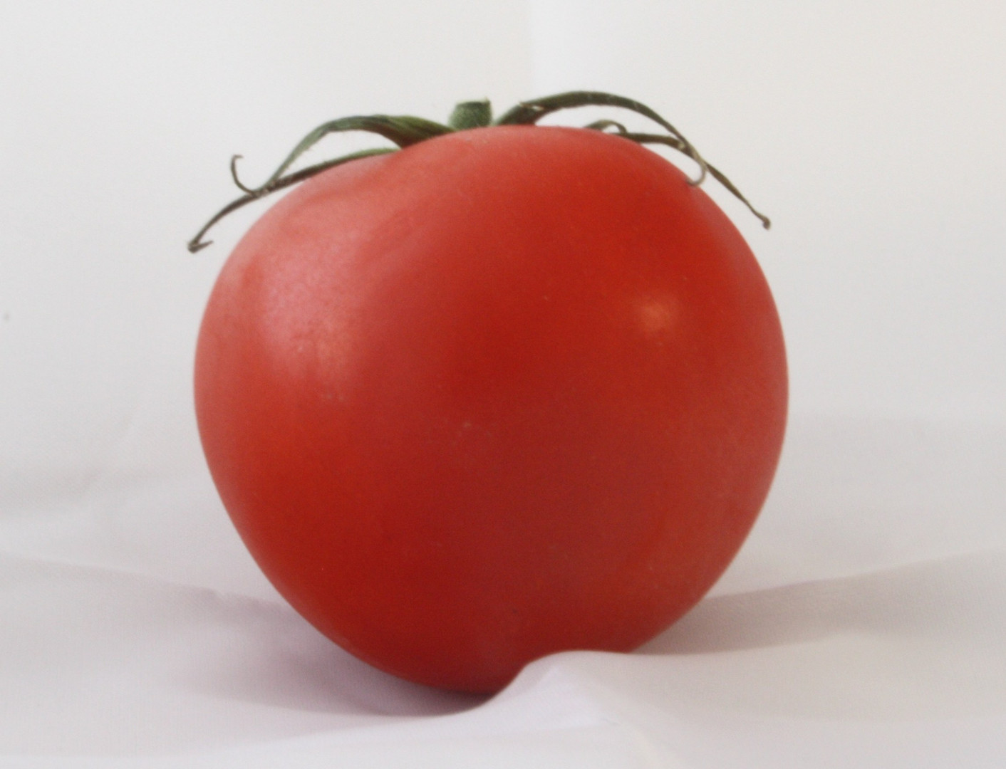 Tomate