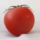 Tomate