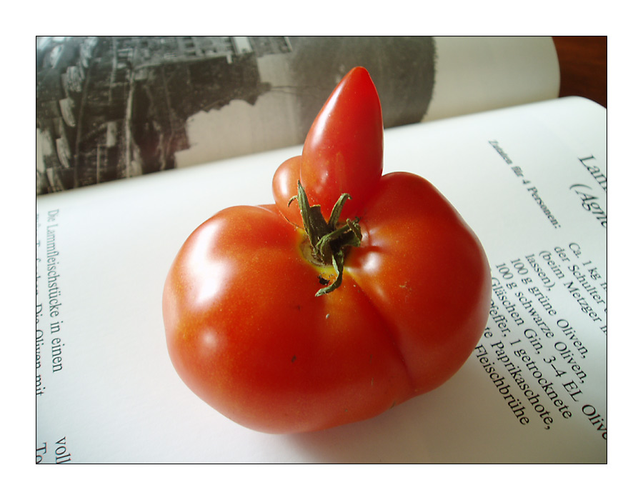 Tomate, Buch und Rezept