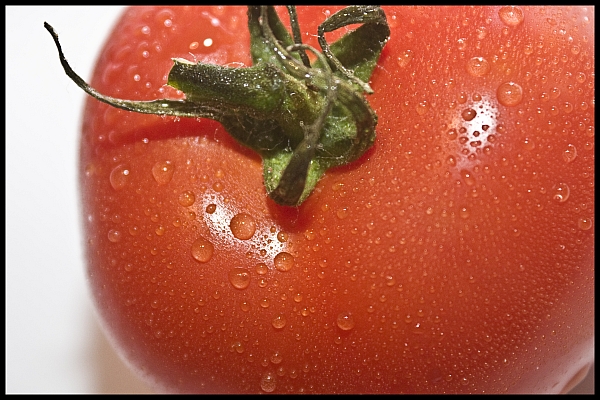 Tomate